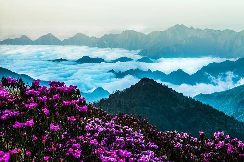 云上的歌